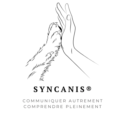 syncanis